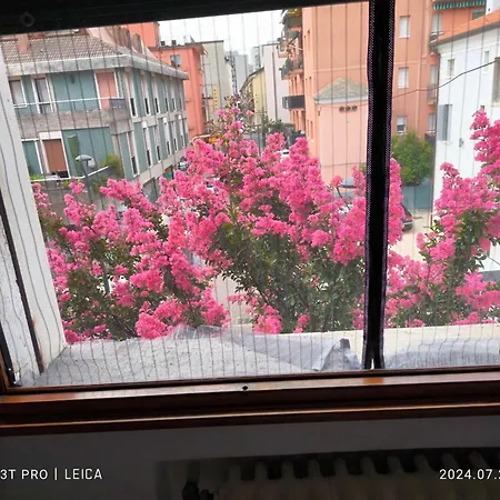 Gioia * 메스트레